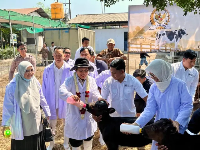 Atasi Ketergantungan Impor, 600 Ribu Sapi Perah Disiapkan hingga 2029